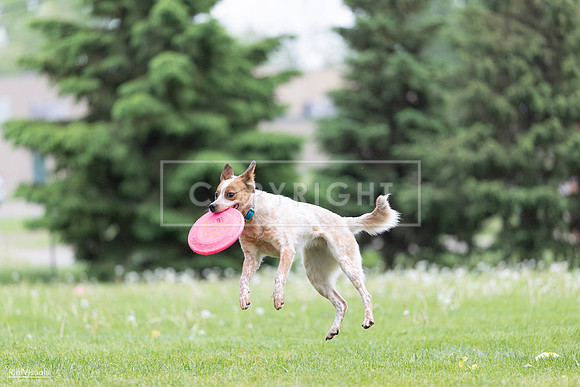 RielVisuals_20260518_182303_SJR_3447