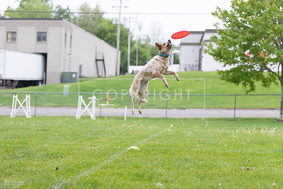 RielVisuals_20260518_182315_SJR_3492