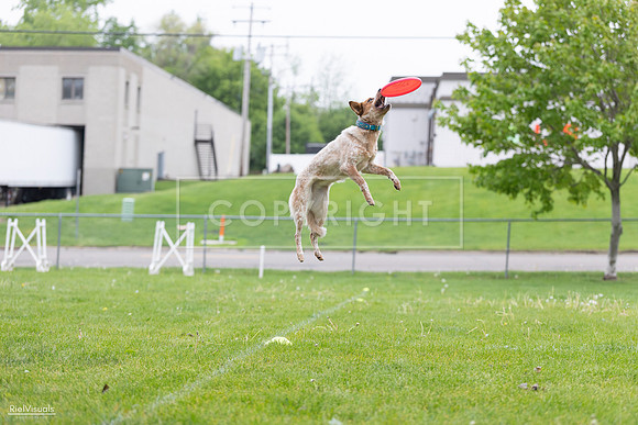 RielVisuals_20260518_182315_SJR_3493