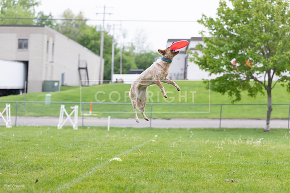 RielVisuals_20260518_182315_SJR_3494