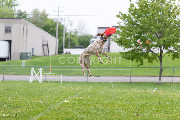 RielVisuals_20260518_182315_SJR_3495