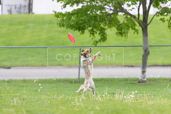 RielVisuals_20260518_182323_SJR_3532