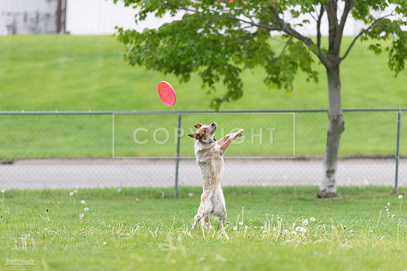 RielVisuals_20260518_182323_SJR_3533