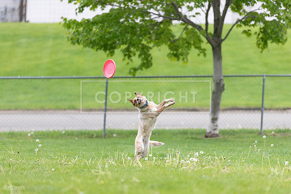 RielVisuals_20260518_182323_SJR_3535