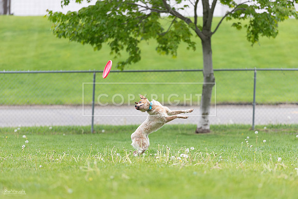 RielVisuals_20260518_182323_SJR_3537