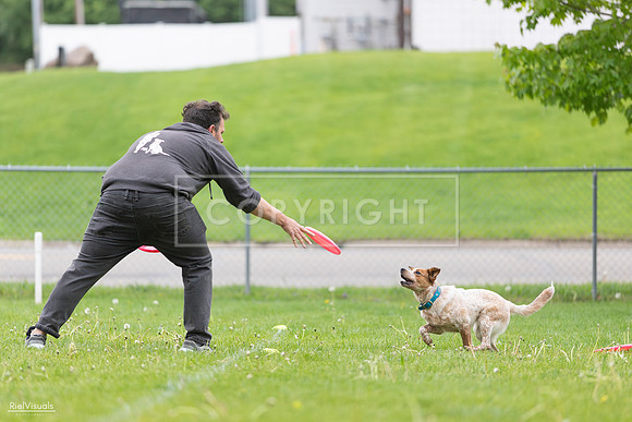 RielVisuals_20260518_182326_SJR_3548