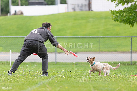 RielVisuals_20260518_182326_SJR_3549