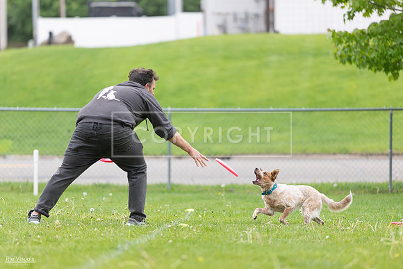 RielVisuals_20260518_182326_SJR_3550