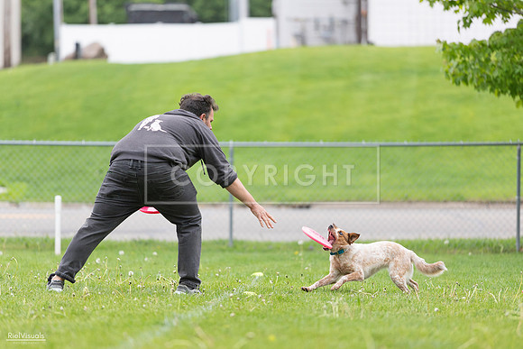 RielVisuals_20260518_182326_SJR_3552