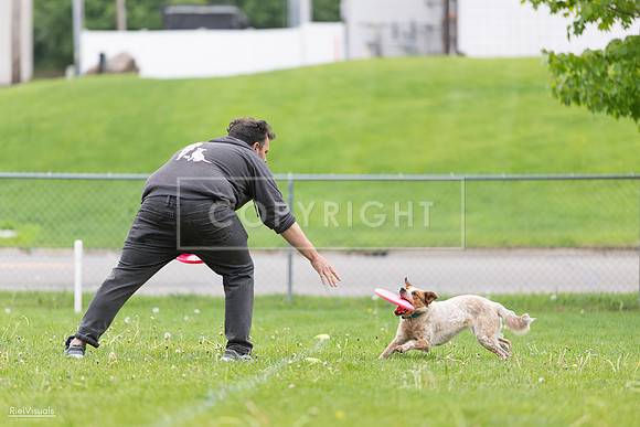 RielVisuals_20260518_182326_SJR_3553