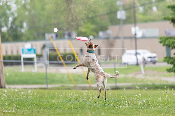 RielVisuals_20260518_182330_SJR_3563