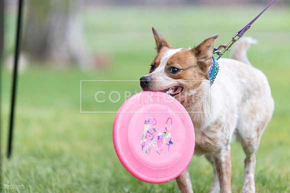RielVisuals_20260518_182405_SJR_3582