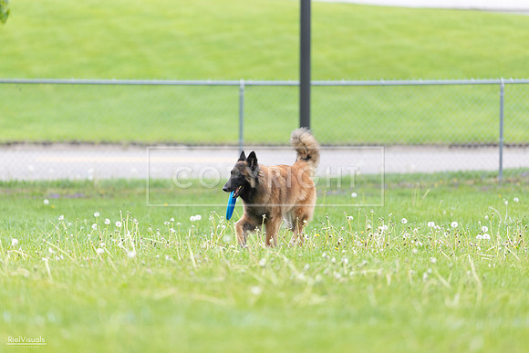RielVisuals_20260518_182556_SJR_3624
