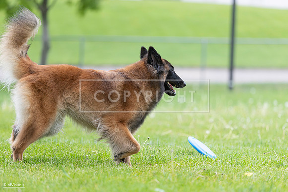 RielVisuals_20260518_182601_SJR_3642