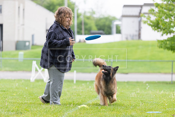 RielVisuals_20260518_182613_SJR_3673