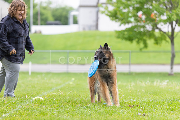RielVisuals_20260518_182614_SJR_3690