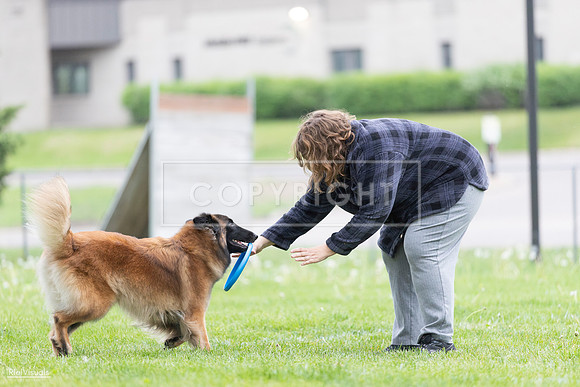 RielVisuals_20260518_182632_SJR_3715