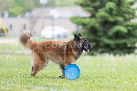 RielVisuals_20260518_182639_SJR_3746