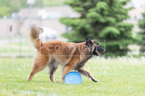 RielVisuals_20260518_182639_SJR_3752
