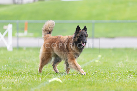 RielVisuals_20260518_182701_SJR_3757