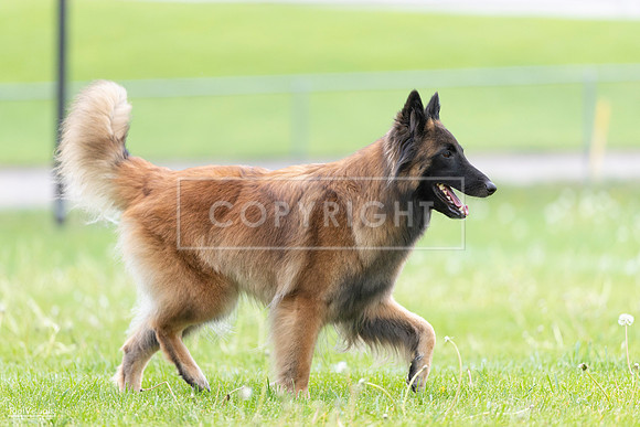 RielVisuals_20260518_182703_SJR_3773