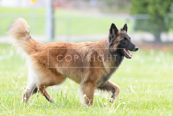 RielVisuals_20260518_182704_SJR_3785
