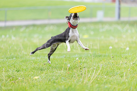 RielVisuals_20260518_182825_SJR_3829