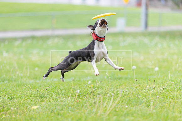 RielVisuals_20260518_182825_SJR_3830