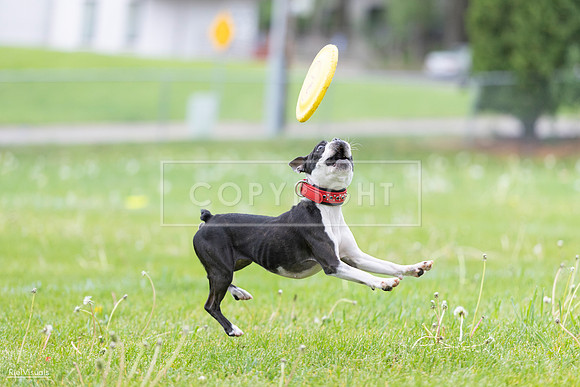 RielVisuals_20260518_182825_SJR_3834
