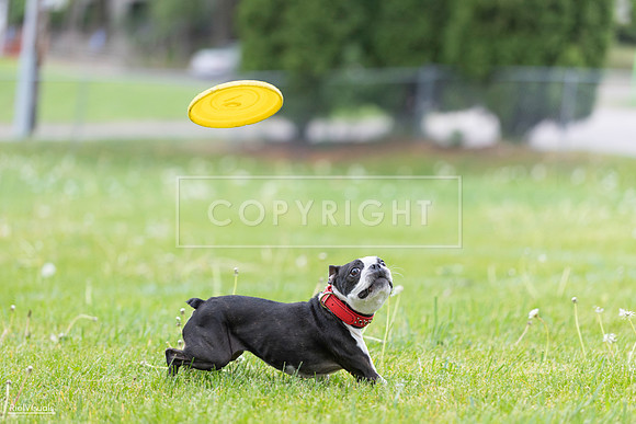 RielVisuals_20260518_182825_SJR_3839