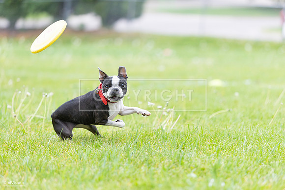RielVisuals_20260518_182825_SJR_3844