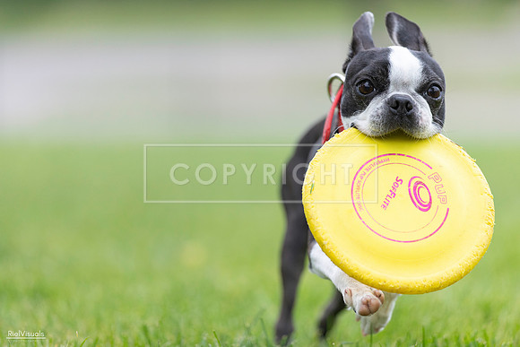 RielVisuals_20260518_182931_SJR_4075