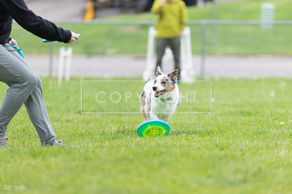 RielVisuals_20260518_183056_SJR_4112