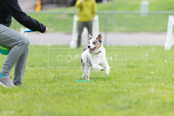 RielVisuals_20260518_183056_SJR_4116