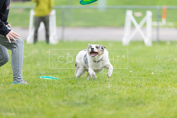 RielVisuals_20260518_183056_SJR_4122