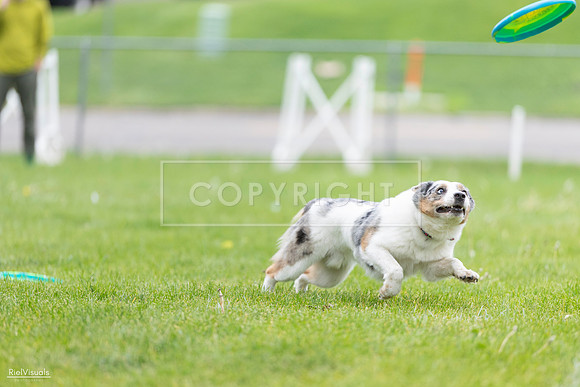 RielVisuals_20260518_183057_SJR_4132