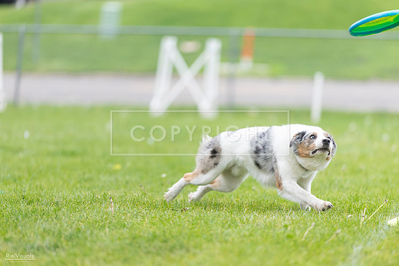 RielVisuals_20260518_183057_SJR_4134