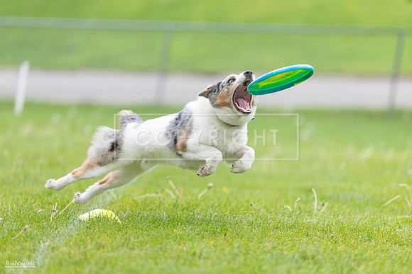 RielVisuals_20260518_183057_SJR_4142