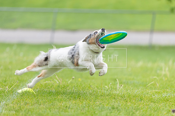 RielVisuals_20260518_183057_SJR_4143