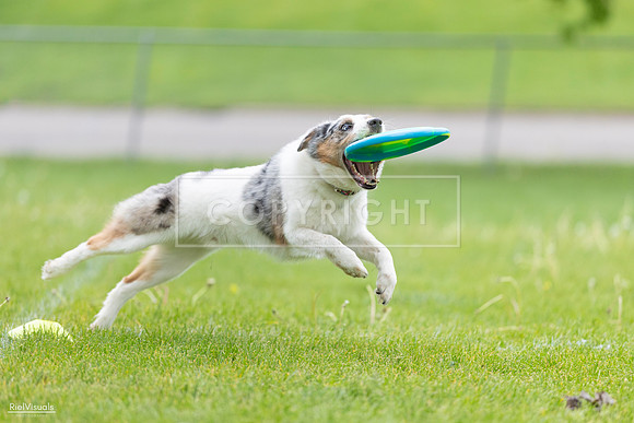 RielVisuals_20260518_183057_SJR_4144