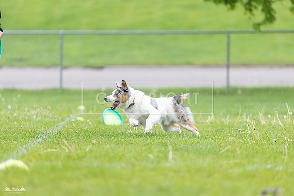 RielVisuals_20260518_183116_SJR_4205