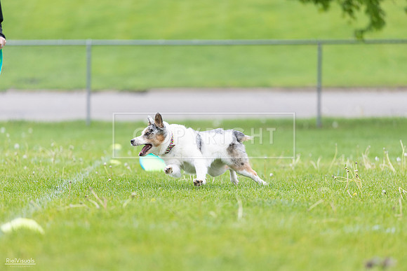 RielVisuals_20260518_183116_SJR_4207