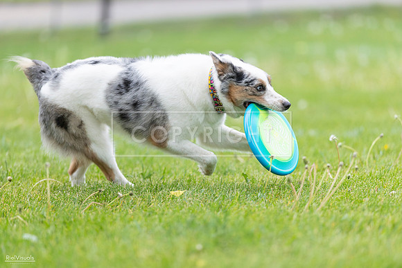 RielVisuals_20260518_183123_SJR_4268