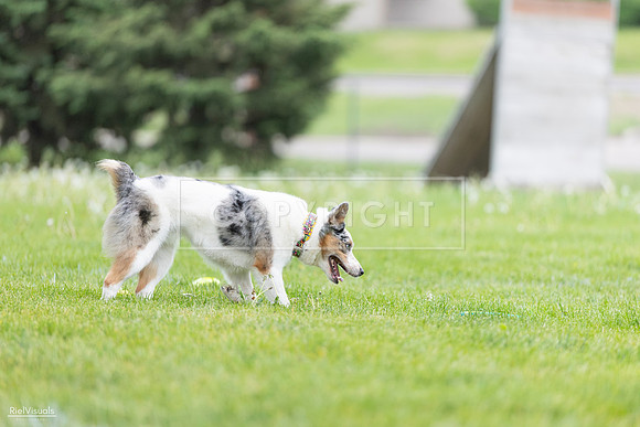 RielVisuals_20260518_183119_SJR_4241