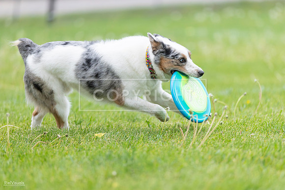 RielVisuals_20260518_183123_SJR_4269