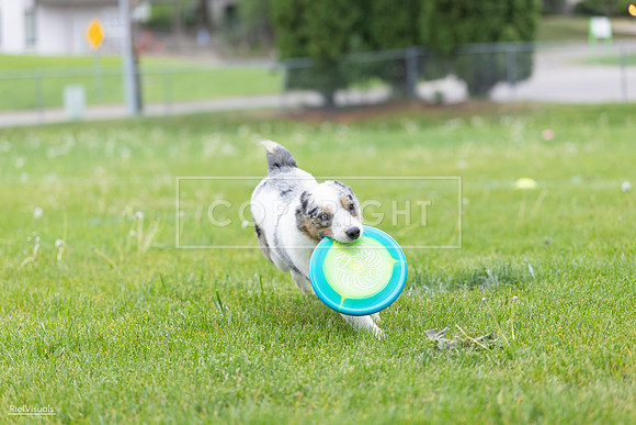 RielVisuals_20260518_183123_SJR_4276