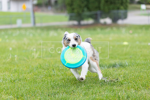 RielVisuals_20260518_183124_SJR_4284