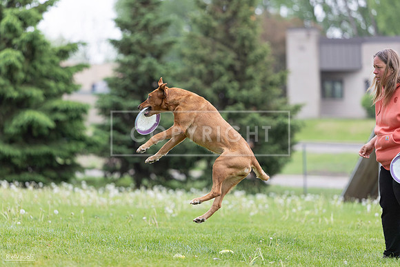 RielVisuals_20260518_183255_SJR_4288