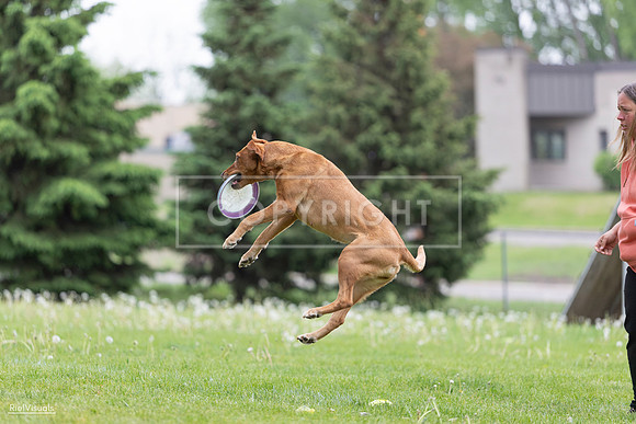 RielVisuals_20260518_183255_SJR_4289