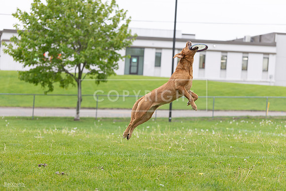 RielVisuals_20260518_183341_SJR_4394